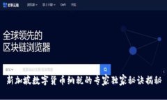 新加坡数字货币纳税的专家独家秘诀揭