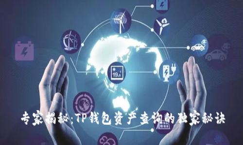专家揭秘:TP钱包资产查询的独家秘诀