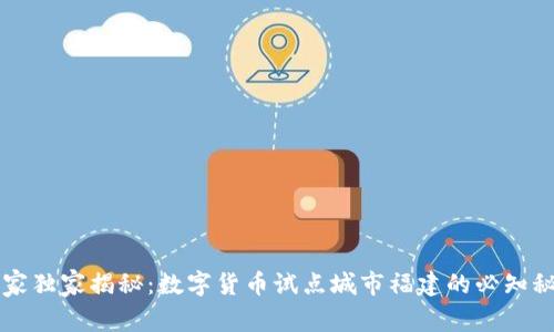 专家独家揭秘:数字货币试点城市福建的必知秘诀