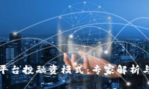 数字货币平台投融资模式:专家解析与独家秘诀