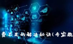 揭密TP钱包矿工费不足的解决秘诀！专