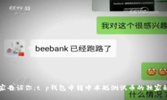 专家告诉你：t p钱包中转中本聪测试币