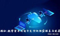 专家揭秘：数字货币与电子支付的独家
