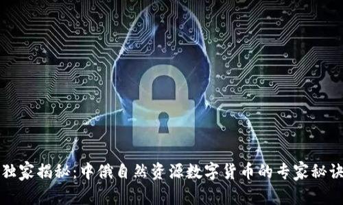 独家揭秘：中俄自然资源数字货币的专家秘诀