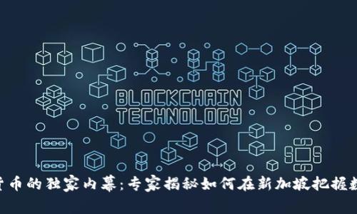 DBS银行数字货币的独家内幕：专家揭秘如何在新加坡把握数字经济的秘诀