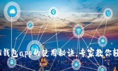 独家揭秘：KCASH钱包app的使用秘诀，专