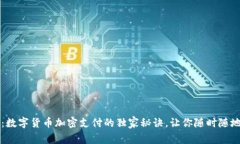 专家揭秘：数字货币加密支付的独家秘