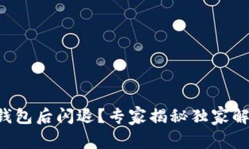 升级TP钱包后闪退?专家揭秘独家解决秘诀!