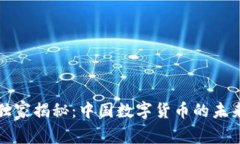 郎咸平独家揭秘：中国数字货币的未来