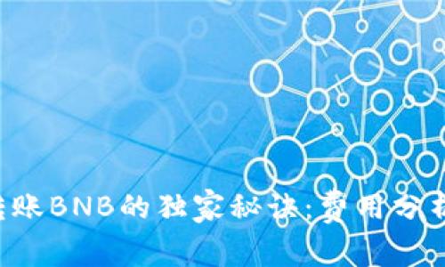 揭秘TP钱包转账BNB的独家秘诀：费用分析与节省技巧！