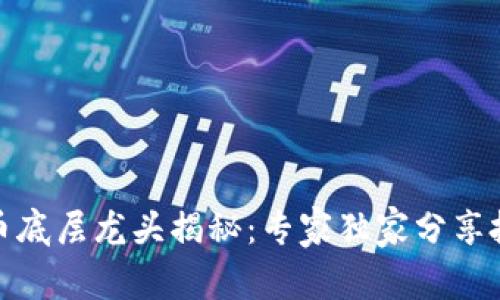 数字货币底层龙头揭秘:专家独家分享投资秘诀