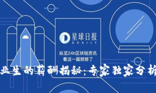 数字货币毕业生的薪酬揭秘：专家独家分析与秘诀分享