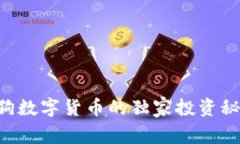 专家揭秘：热狗数字货币的独家投资秘