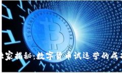 专家独家揭秘：数字货币试运营的成功