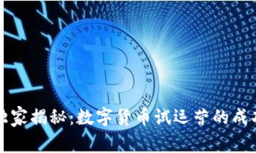 专家独家揭秘:数字货币试运营的成功秘诀