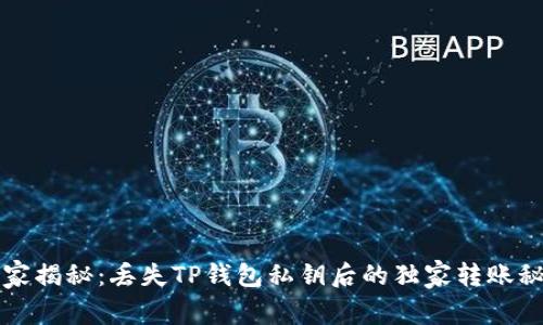 专家揭秘:丢失TP钱包私钥后的独家转账秘诀