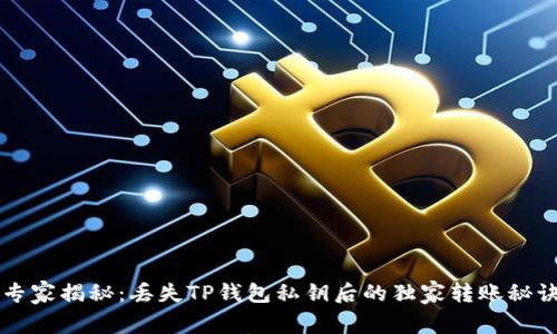 专家揭秘:丢失TP钱包私钥后的独家转账秘诀