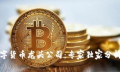揭秘央行数字货币龙头公司：专家独家