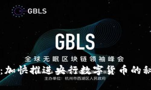 专家独家揭秘：加快推进央行数字货币的秘诀与前景分析