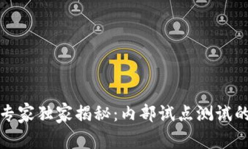 数字货币专家独家揭秘:内部试点测试的关键秘诀
