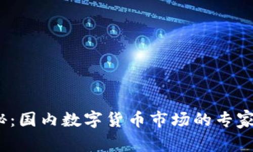 2023年独家揭秘:国内数字货币市场的专家分析与未来趋势