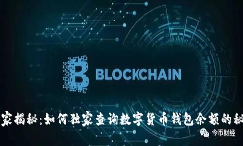 专家揭秘：如何独家查询数字货币钱包余额的秘诀