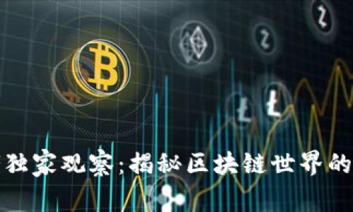 TP钱包大佬独家观察:揭秘区块链世界的秘密与诀窍
