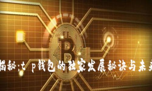 专家揭秘：t p钱包的独家发展秘诀与未来趋势