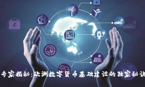 专家揭秘：欧洲数字货币基础建设的独家秘诀