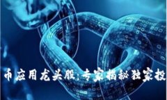 数字货币应用龙头股：专家揭秘独家投