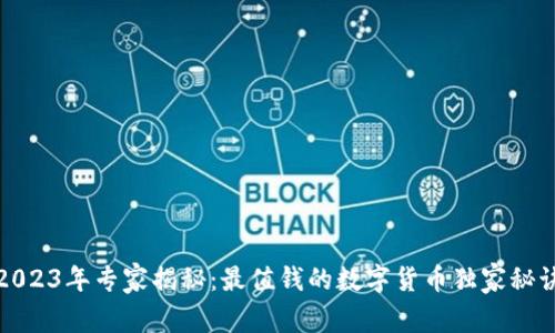 2023年专家揭秘：最值钱的数字货币独家秘诀