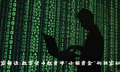 专家解读：数字货币投资中“小额资金”的独家秘诀
