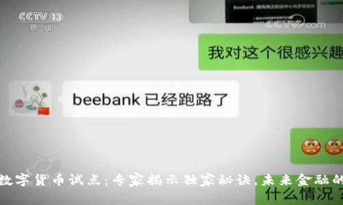 加纳银行数字货币试点：专家揭示独家秘诀，未来金融的转型之路