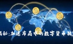 专家揭秘：加速布局中的数字货币独家