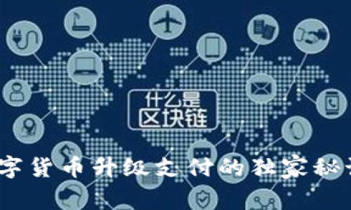 专家揭秘：数字货币升级支付的独家秘诀与未来趋势