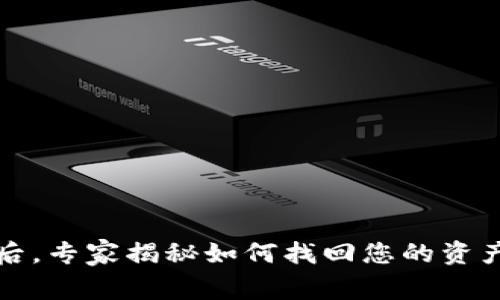 TP钱包倒闭后，专家揭秘如何找回您的资产的独家秘诀