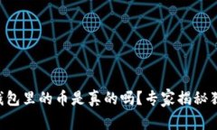 以太坊钱包里的币是真的吗？专家揭秘