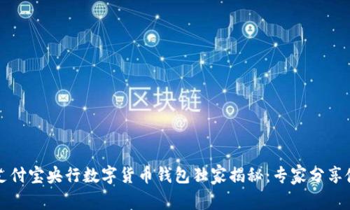 2023年支付宝央行数字货币钱包独家揭秘:专家分享使用秘诀!