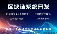 数字LP货币：专家独家揭秘投资秘诀