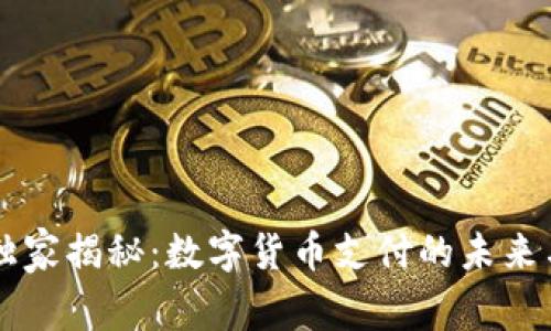 南京超市独家揭秘：数字货币支付的未来与专家解析