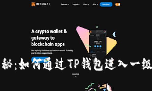 专家独家揭秘：如何通过TP钱包进入一级市场的秘诀