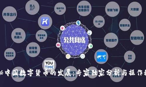 揭秘中国数字货币的发展：专家独家分析与操作秘诀