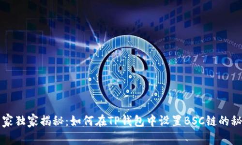 专家独家揭秘:如何在TP钱包中设置BSC链的秘诀