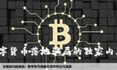 专家揭秘：数字货币落地骗局的独家内