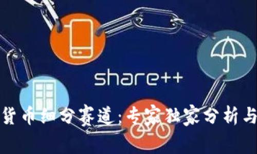 揭秘数字货币细分赛道:专家独家分析与投资秘诀