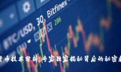 数字货币技术分析：专家独家揭秘背后
