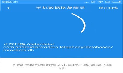 专家揭秘:如何在TP钱包中添加DOT(波卡)独家秘诀