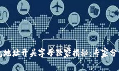以太坊钱包地址开头字母独家揭秘:专家分享使用秘诀