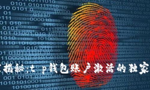 专家揭秘:t p钱包账户激活的独家秘诀