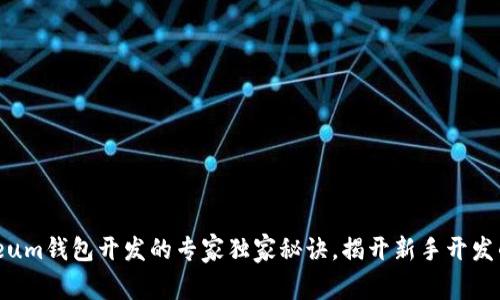 Ethereum钱包开发的专家独家秘诀,揭开新手开发的秘密!
